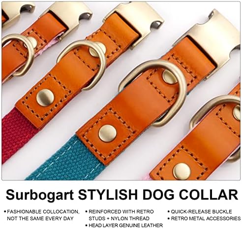 סורבוגרט צווארון כלבים מתכוונן מסוגנן עם צבע ממתקים חמוד, צווארוני כלבים של ניילון ניילון כבד עם אבזם מתכת