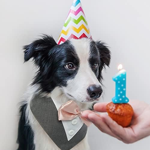 טוקסידו של כלב Fuamey, צווארון כלב רשמי של כלב בנדנה עם עניבת פרפר כלב תחפושת יום הולדת מתכוונן מסיבת