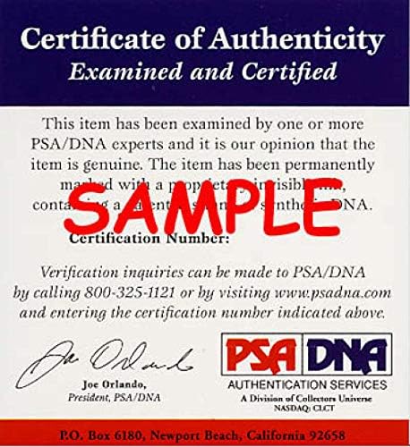 Al Kaline PSA DNA Cert חתום 8x10 נמרים עם חתימות צילום