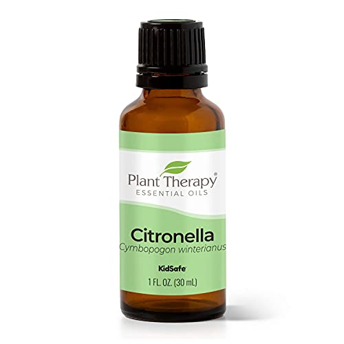 טיפול צמחי שמן אתרי Citronella 30 מל טהור, לא מדולל, כיתה טיפולית