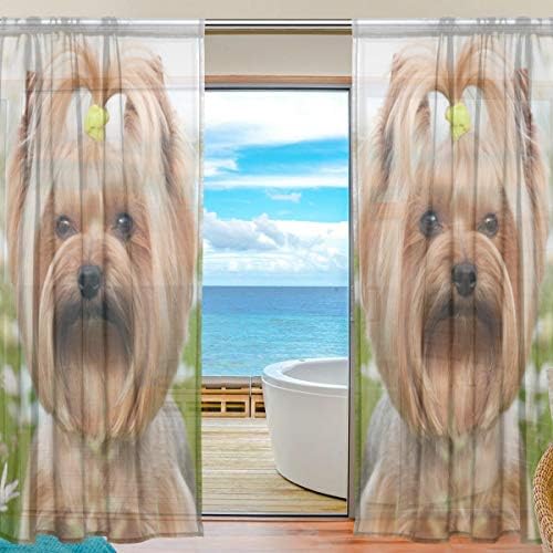 Top Carpenter Yorkshire Terrier Dog in Daisies Semi וילונות חלון חלון וילונות פנלים
