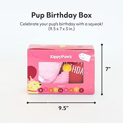 רוכסן-מתנת קופסא יום הולדת לכלבים וגורים-צעצועי יום הולדת לכלבים, עוגות יום הולדת לכלבים, צעצועים חורקים