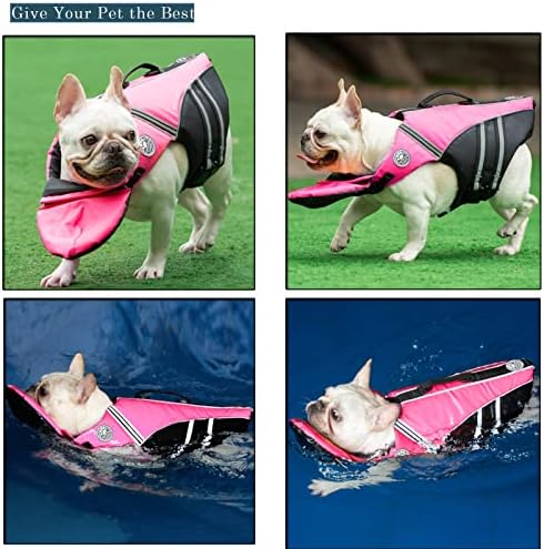 מעיל הצלה של בולדוג צרפתי - אפודי בטיחות כלבים מקצועיים לשחייה, ציפה מעולה וידית הצלה