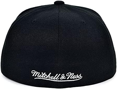 מיטשל ונס לוס אנג ' לס לייקרס בסיסי שושלת מצויד כובע כובע-שחור