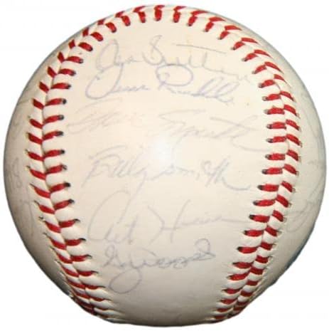 1981 צוות אסטרוס של יוסטון חתם על בייסבול חתימה על ראיין סאטון סידנו 91106B40 - כדורי בייסבול עם חתימה
